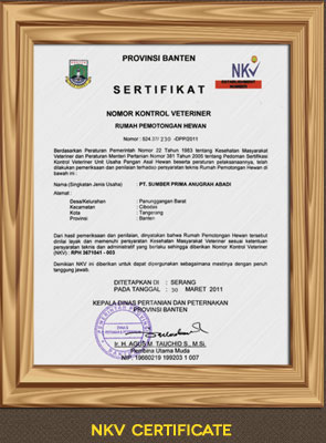 NKV Certificate